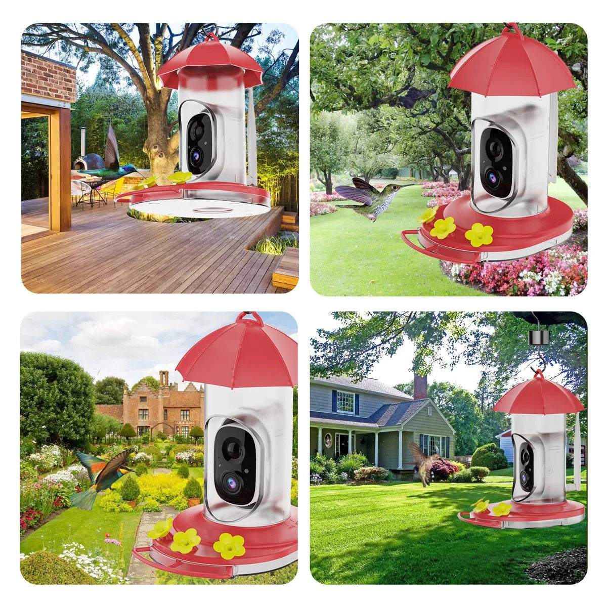 SkyFeeder Cam – Smart Bird Feeder with Camera – Outdoor Observation Station