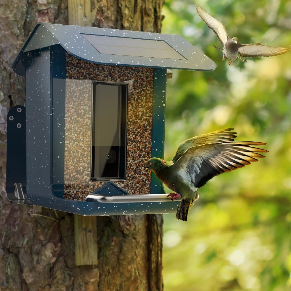 BirdWatch Pro - Smart Bird Feeder - Outdoor Style - Camera View