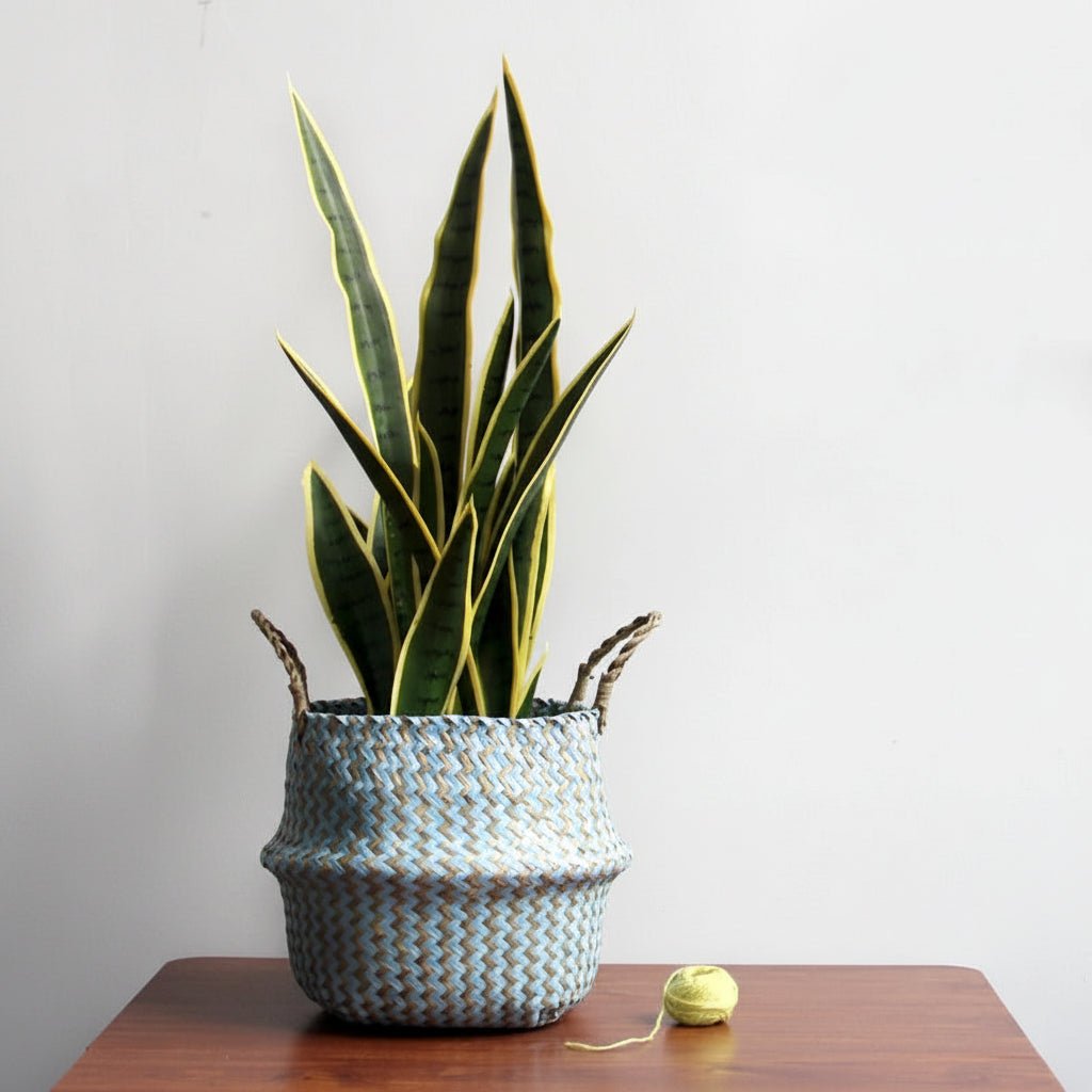 NordicNest Fold – Woven Plant Basket – Boho Storag Decor Piece