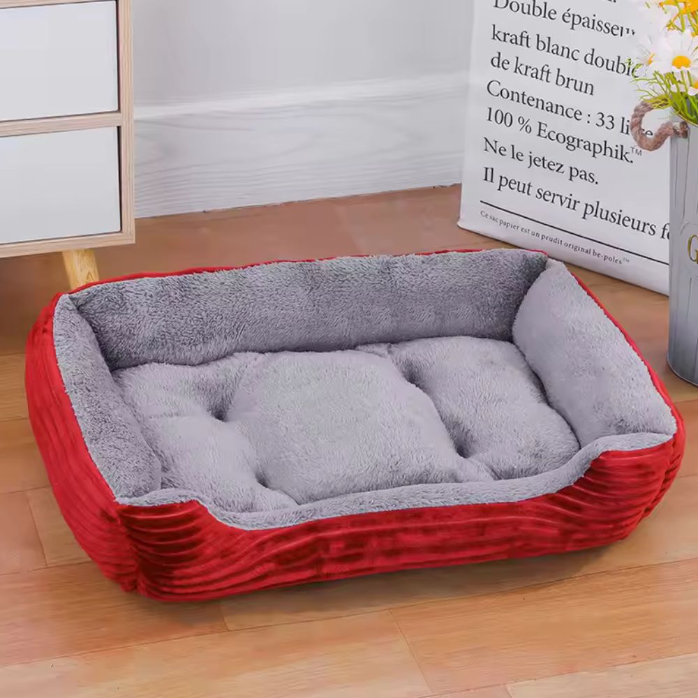 Fiora Dog Bed - Soft Microfiber, Supportive Comfort for Pets 0