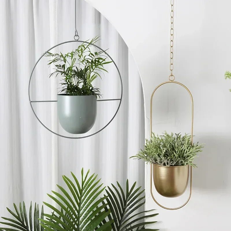 HaloPlant Hanger - Wall Plant Hanger - Minimal Style - Space Saving