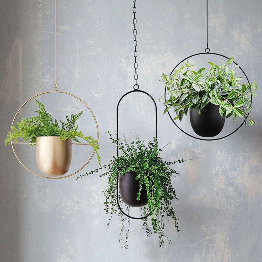 HaloPlant Hanger - Wall Plant Hanger - Minimal Style - Space Saving