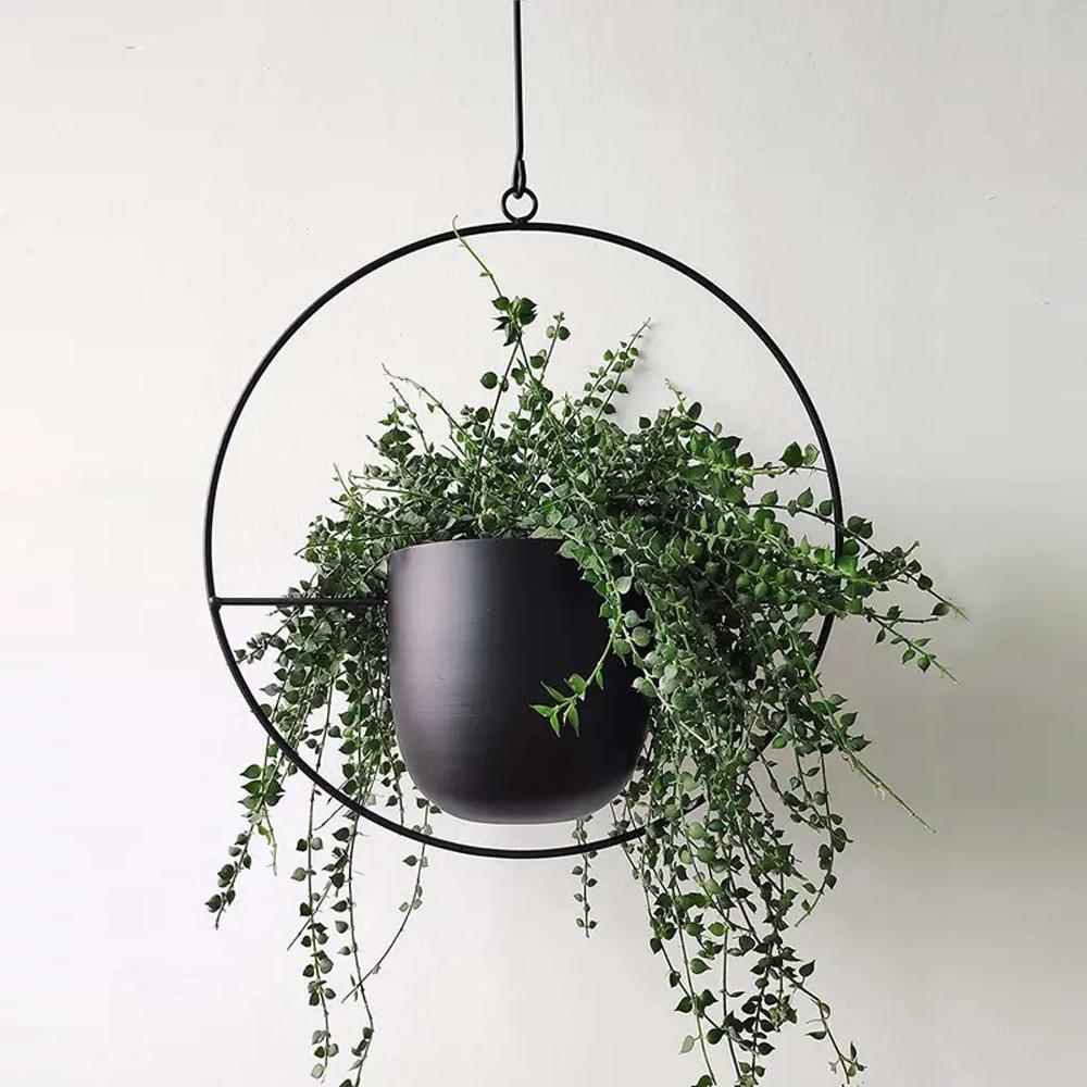 HaloPlant Hanger - Wall Plant Hanger - Minimal Style - Space Saving