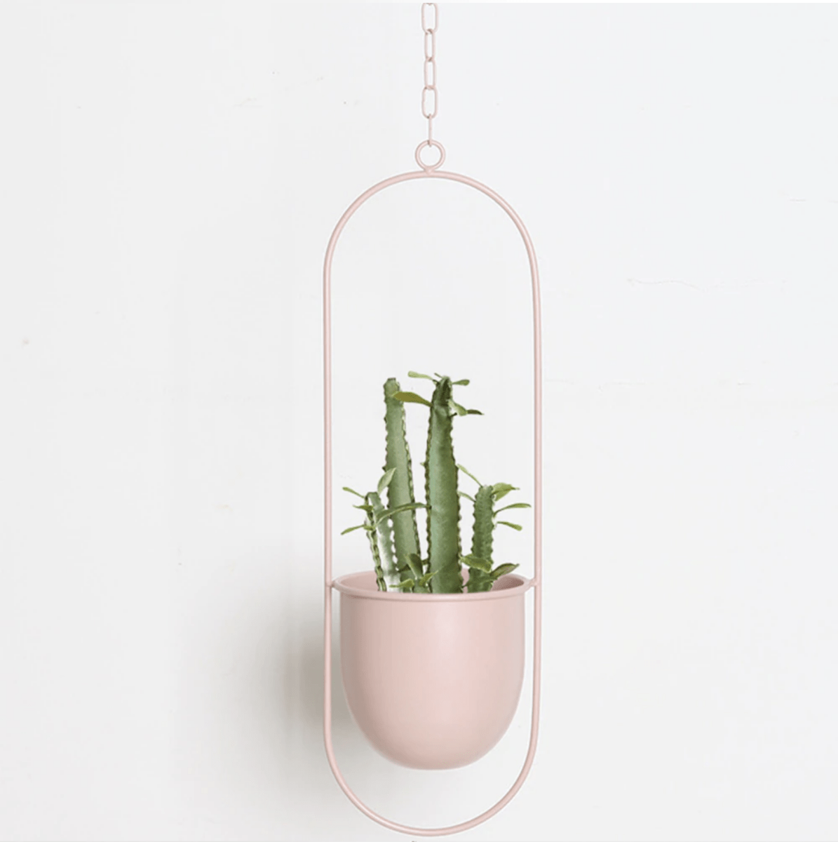 HaloPlant Hanger - Wall Plant Hanger - Minimal Style - Space Saving