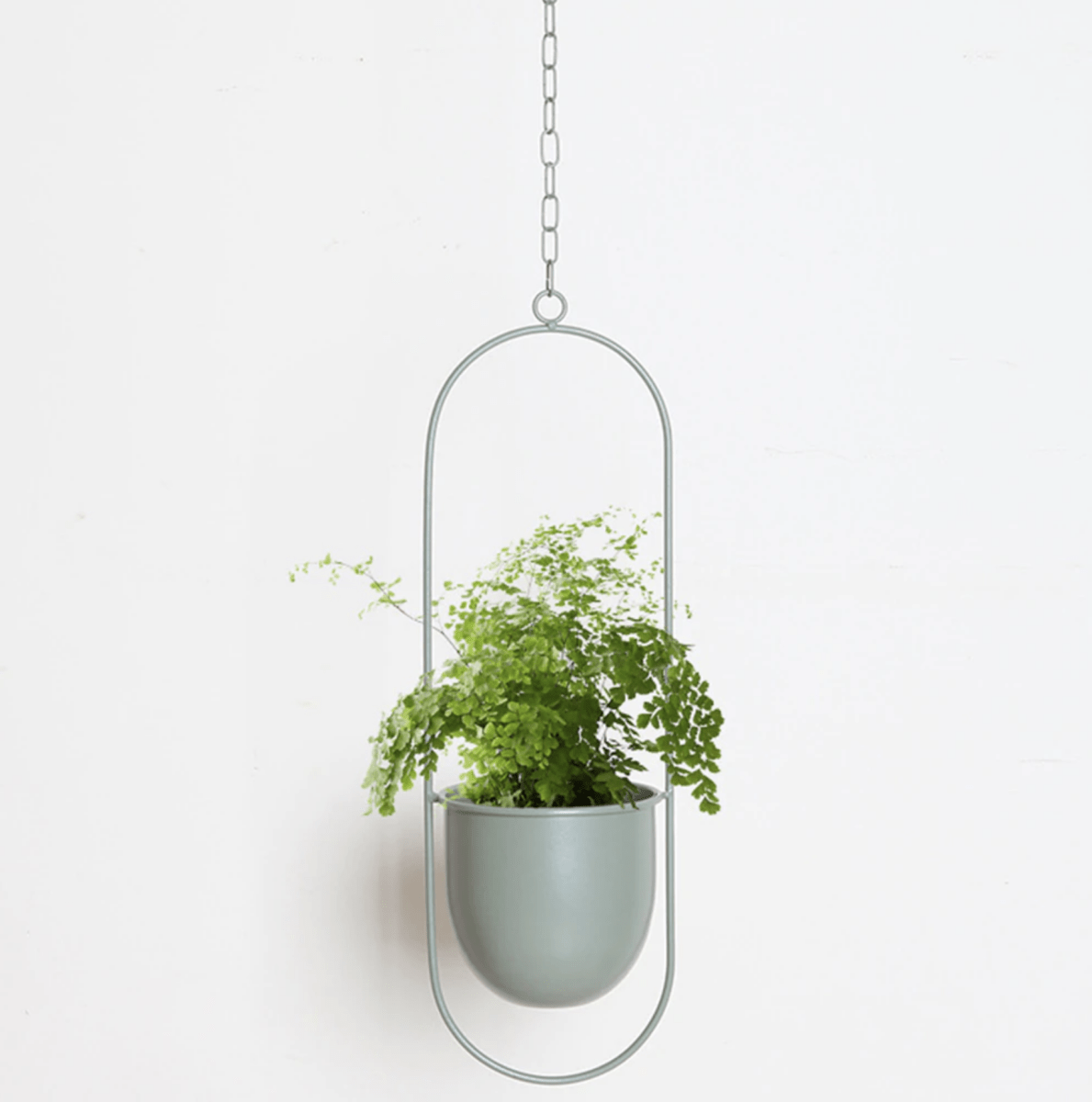HaloPlant Hanger - Wall Plant Hanger - Minimal Style - Space Saving