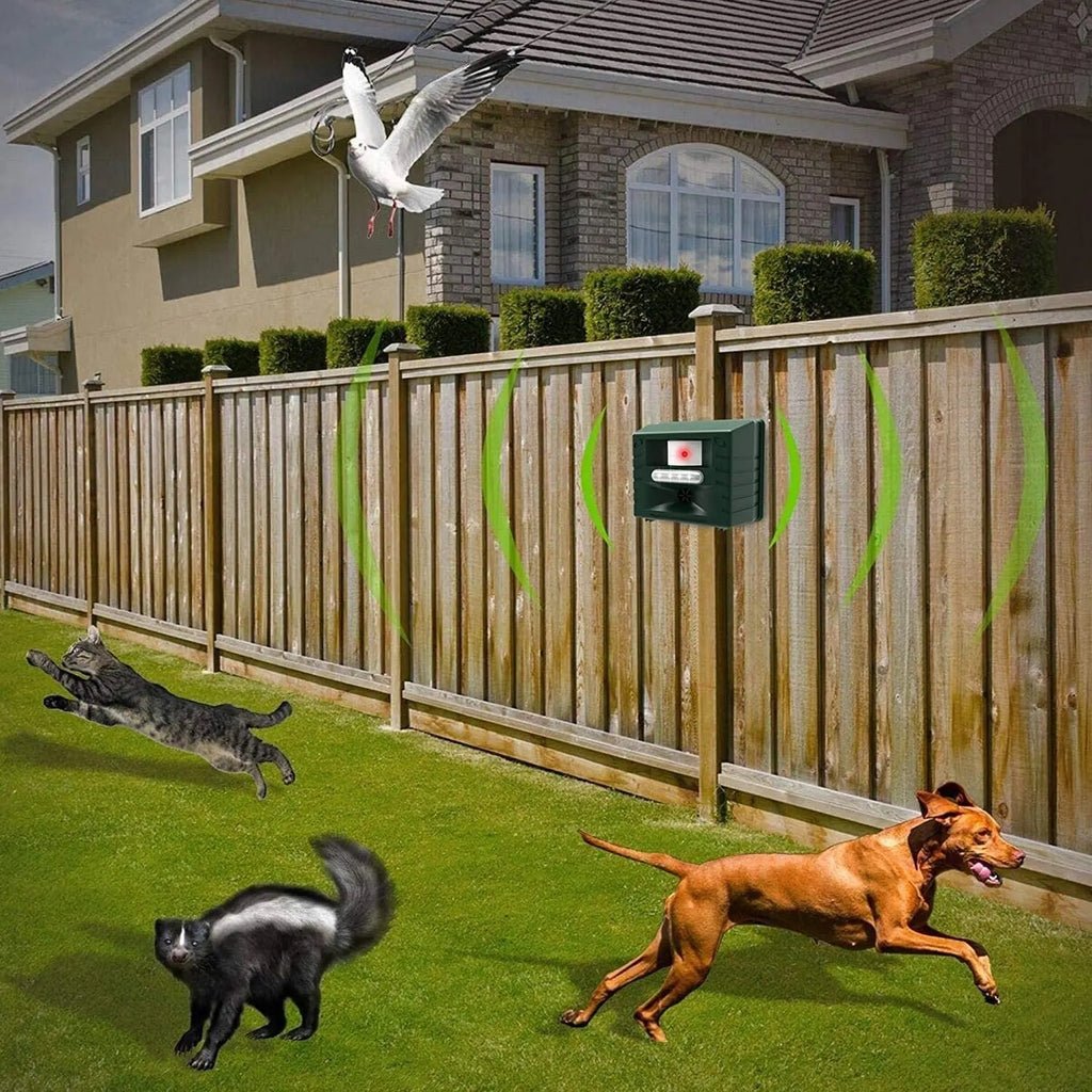 QuietGuard Repeller – Ultrasonic Bird Deterrent – Motion-Activated Garden Protection