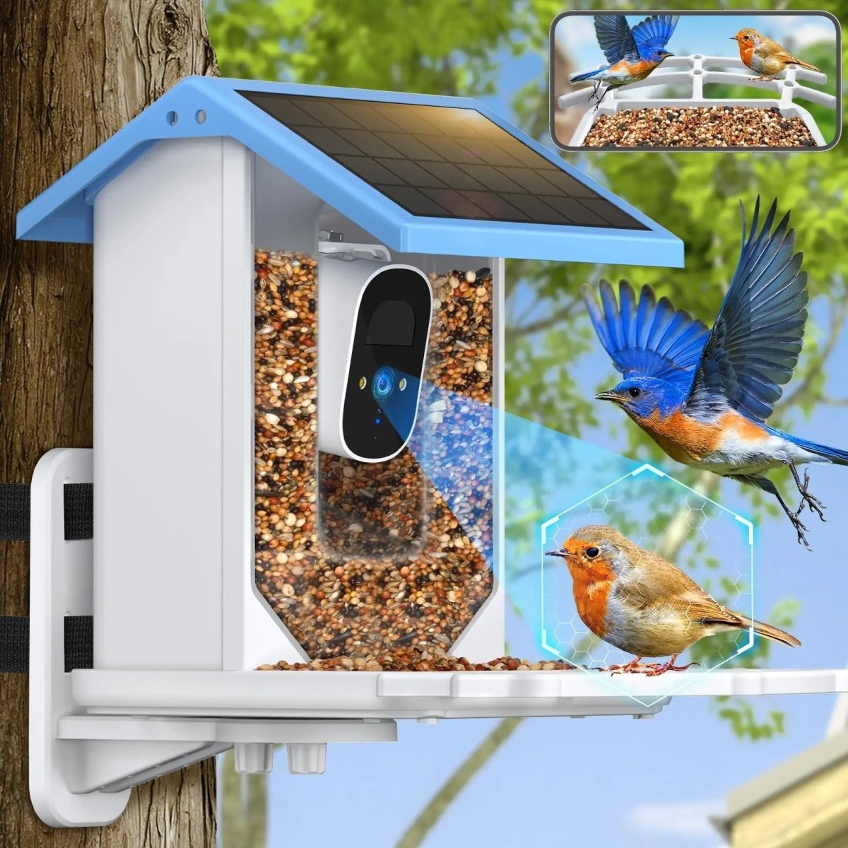 SunRipple Jet - Solar Fountain - Floating Style - Cable Free Charm