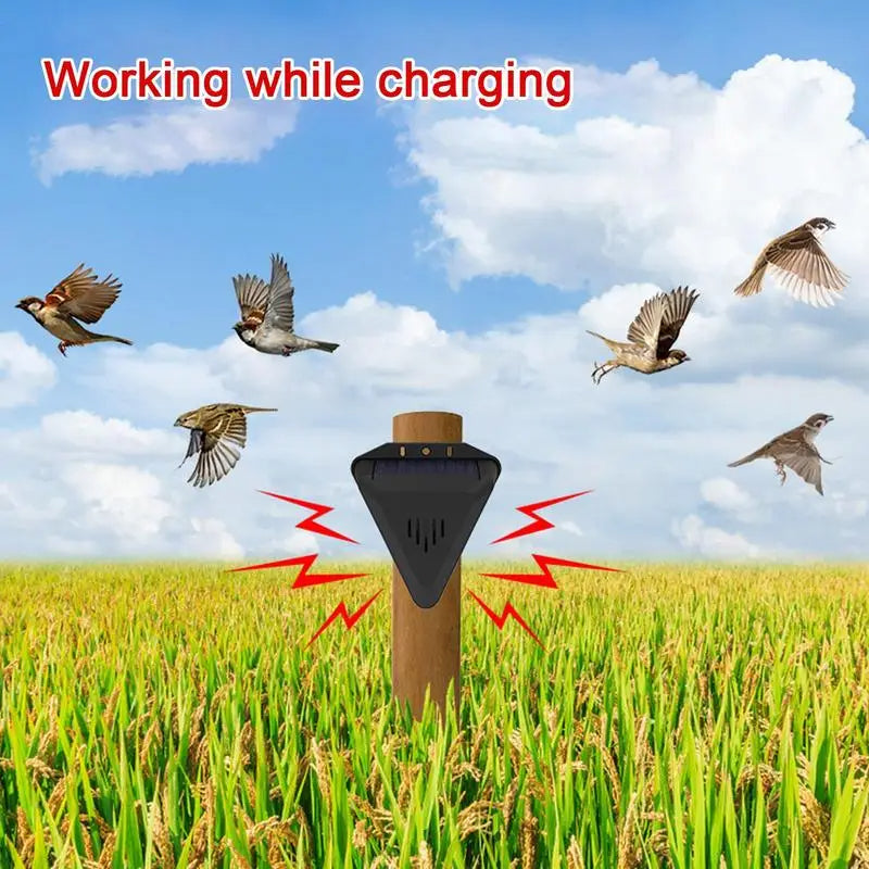 Solaris Bird Deterrent - Eco-Friendly Ultrasonic Repeller for Garden Protection 2