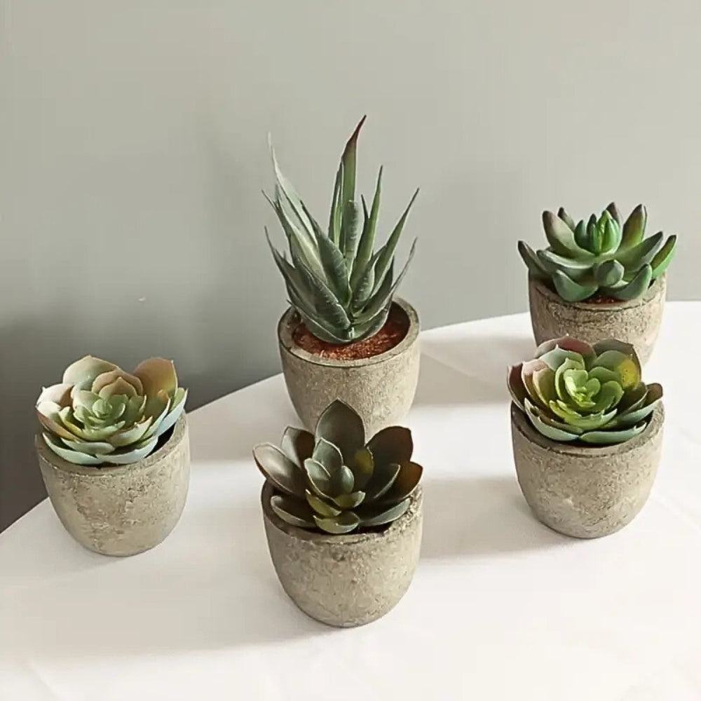Verdea Artificial Succulent Plant - Realistic Faux Greenery, Rustic Pot 1