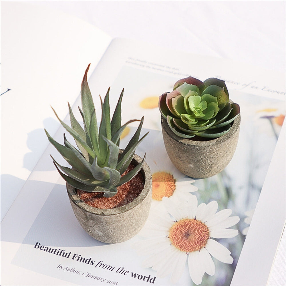 Verdea Artificial Succulent Plant - Realistic Faux Greenery, Rustic Pot 5