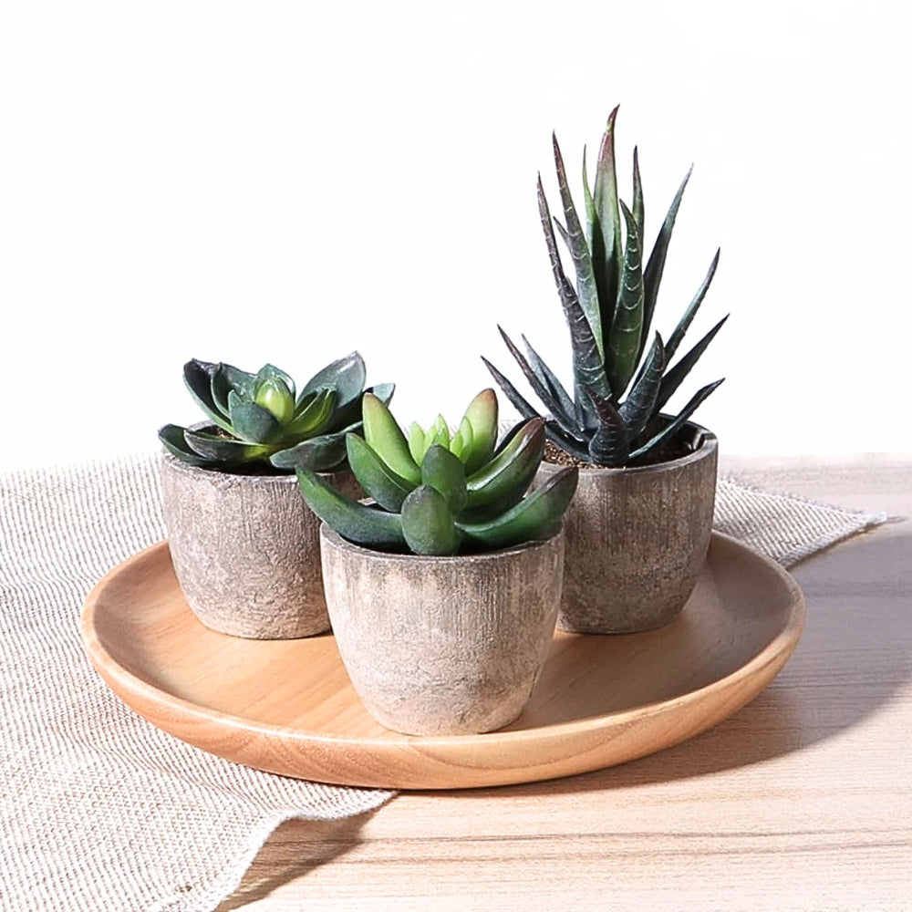 Verdea Artificial Succulent Plant - Realistic Faux Greenery, Rustic Pot 7