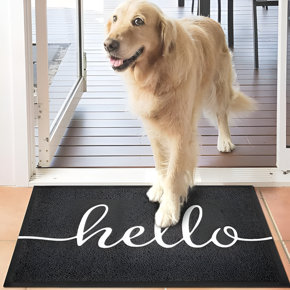GreetEase – Stylish Non-Slip Doormat