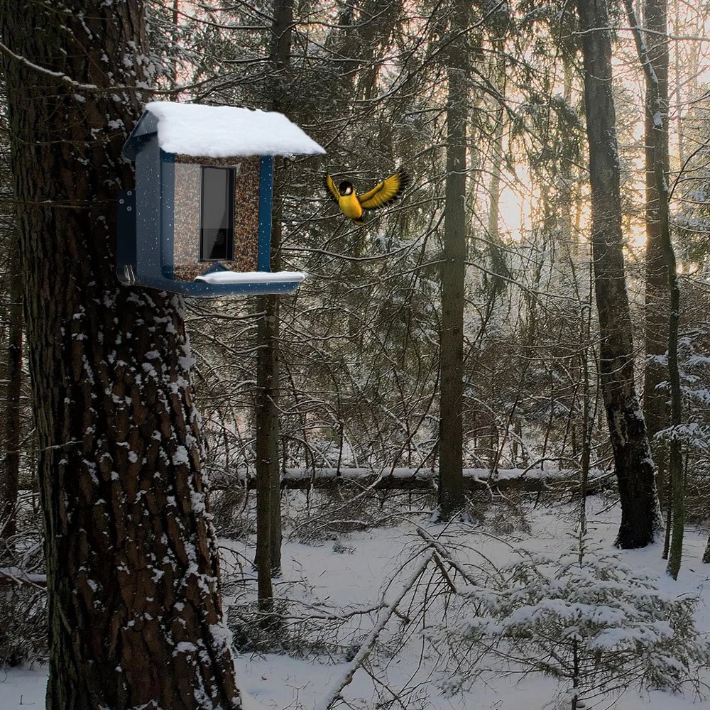 BirdWatch Pro - Smart Bird Feeder - Outdoor Style - Camera View