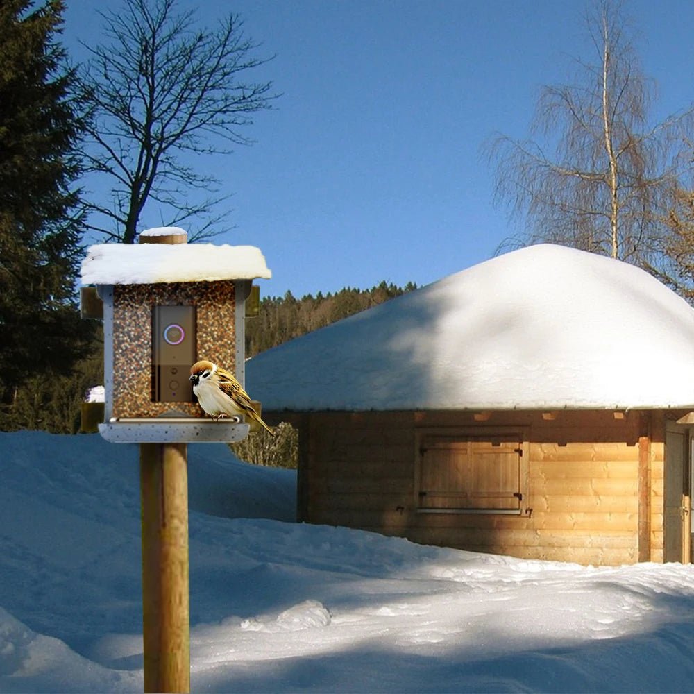 BirdWatch Pro - Smart Bird Feeder - Outdoor Style - Camera View