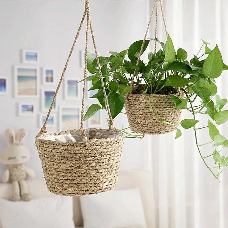 TerraHang Planter – Handwoven Macramé Hanger – Rustic Indoor Plant Display