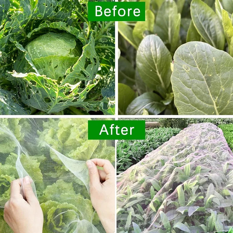 Breezy Insect Netting for Garden - HDPE, Breathable Pest Protection 2