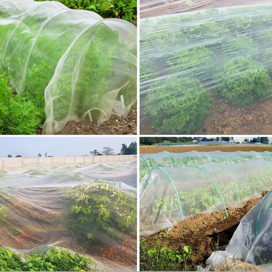 Breezy Insect Netting for Garden - HDPE, Breathable Pest Protection 4