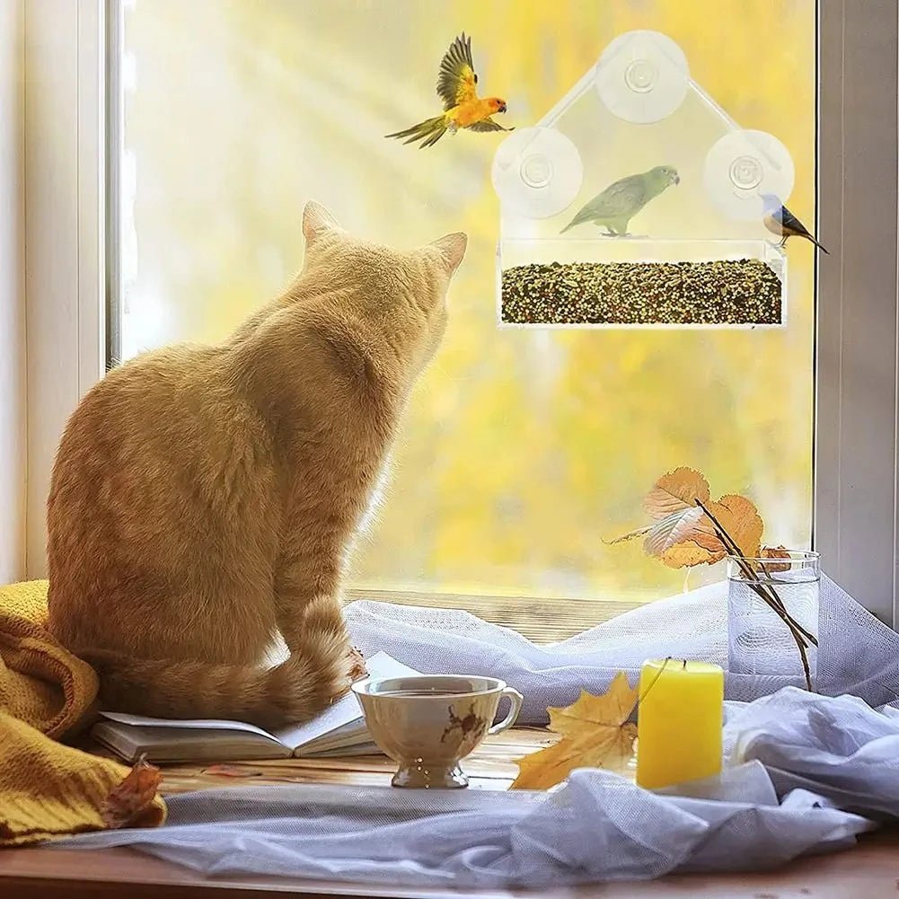 ClearView Perch - Window Bird Feeder - Modern Style - Close Viewing
