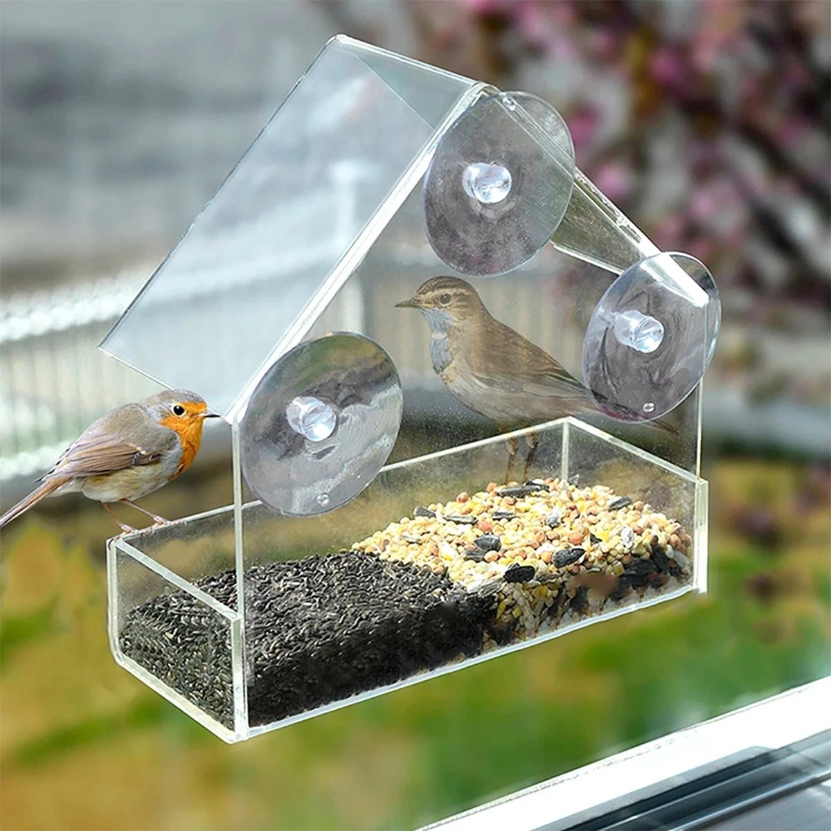 ClearView Perch - Window Bird Feeder - Modern Style - Close Viewing