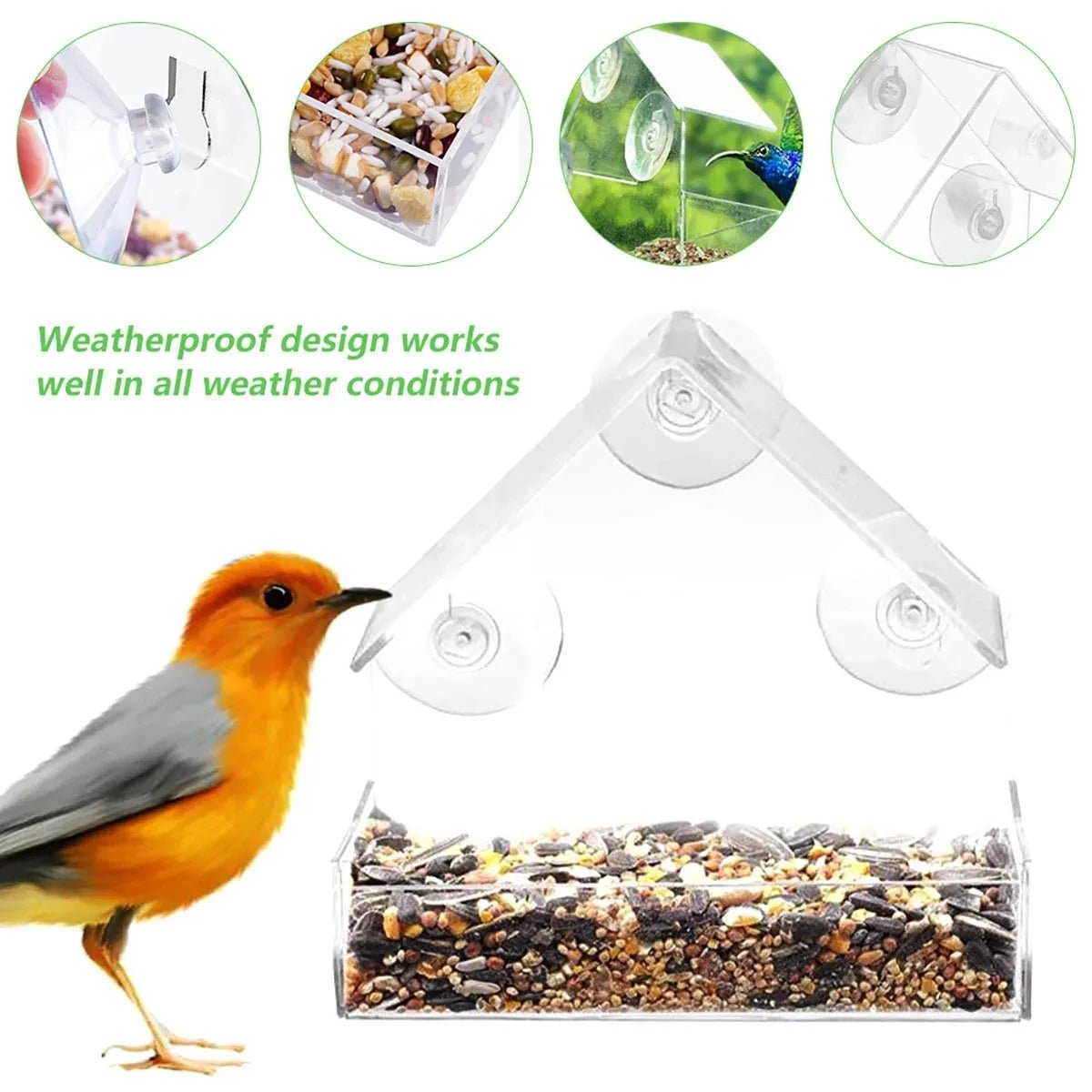 ClearView Perch - Window Bird Feeder - Modern Style - Close Viewing