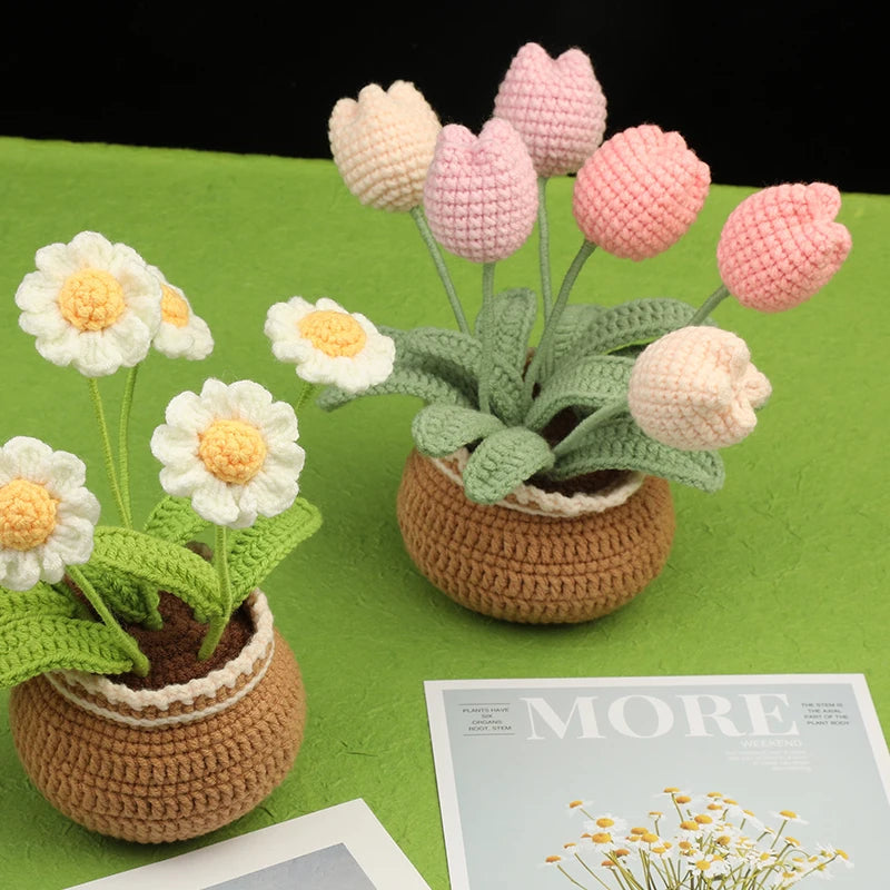 Cora Crochet Kit - Complete Yarn Set for Beginners, Includes Hooks and Instructions 4