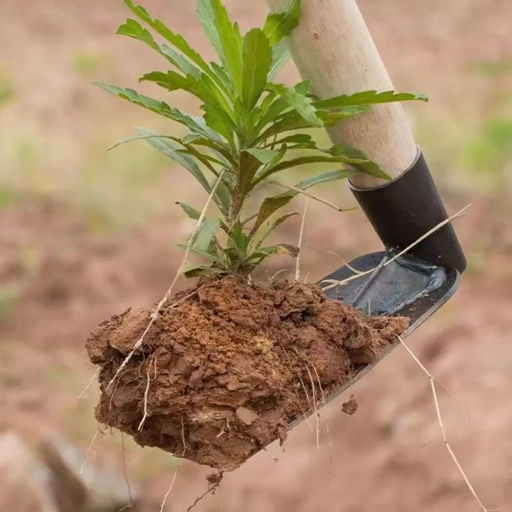 SoilEdge Pro – Steel Garden Hoe Head – Precision Weeding Tool