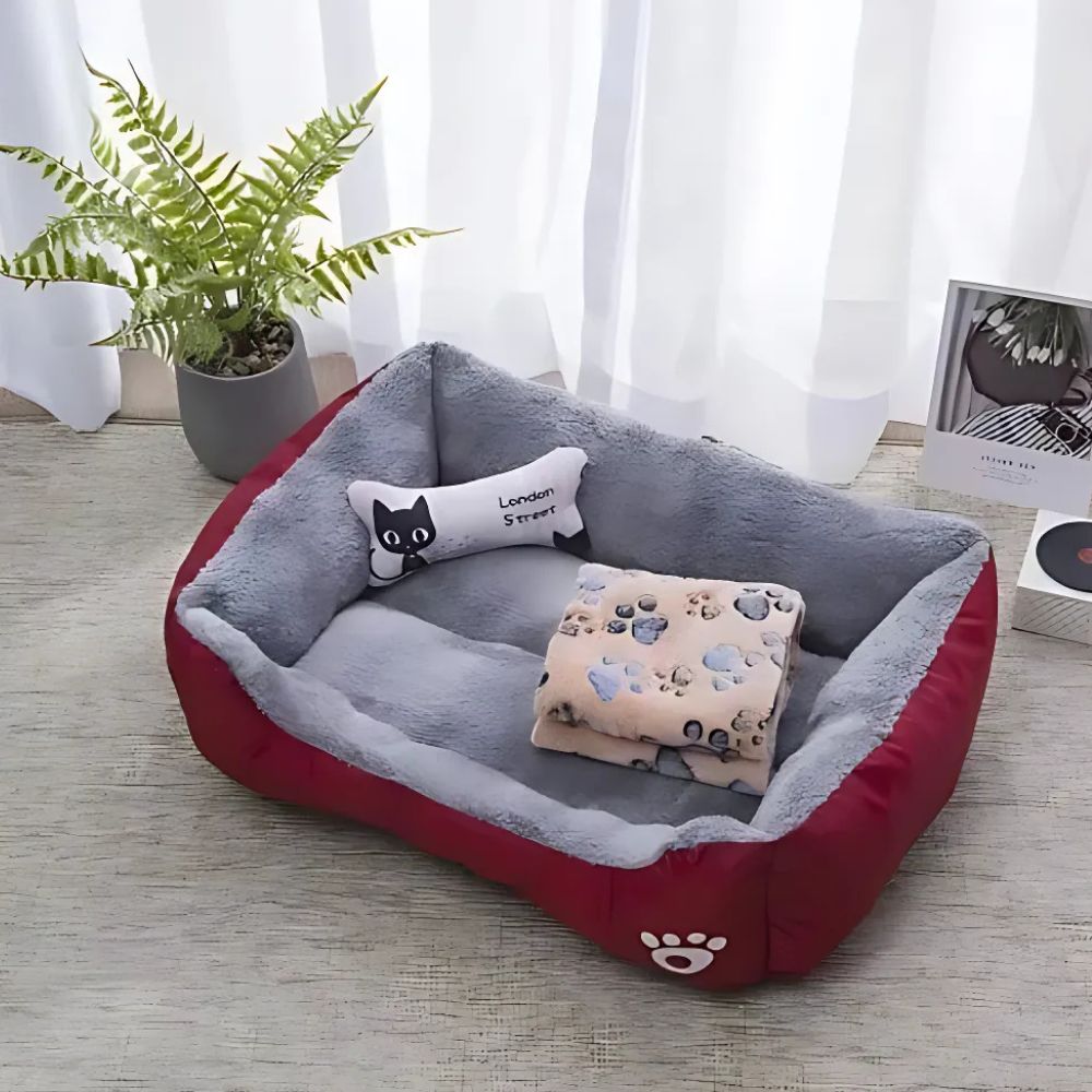 Fiora Dog Bed - Soft Microfiber, Supportive Comfort for Pets 1