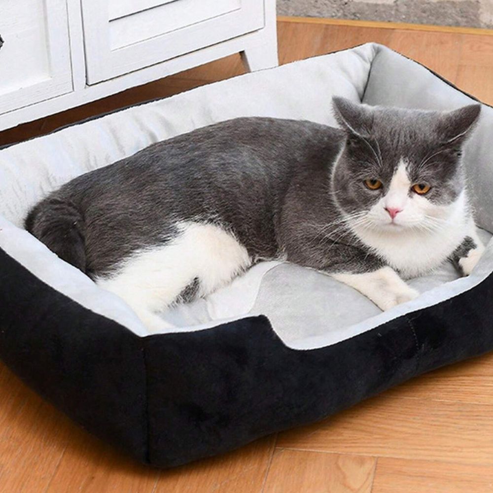 Fiora Dog Bed - Soft Microfiber, Supportive Comfort for Pets 3