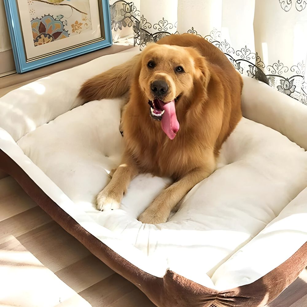 Fiora Dog Bed - Soft Microfiber, Supportive Comfort for Pets 4
