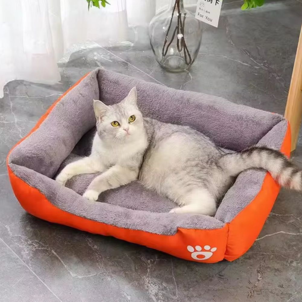 Fiora Dog Bed - Soft Microfiber, Supportive Comfort for Pets 5