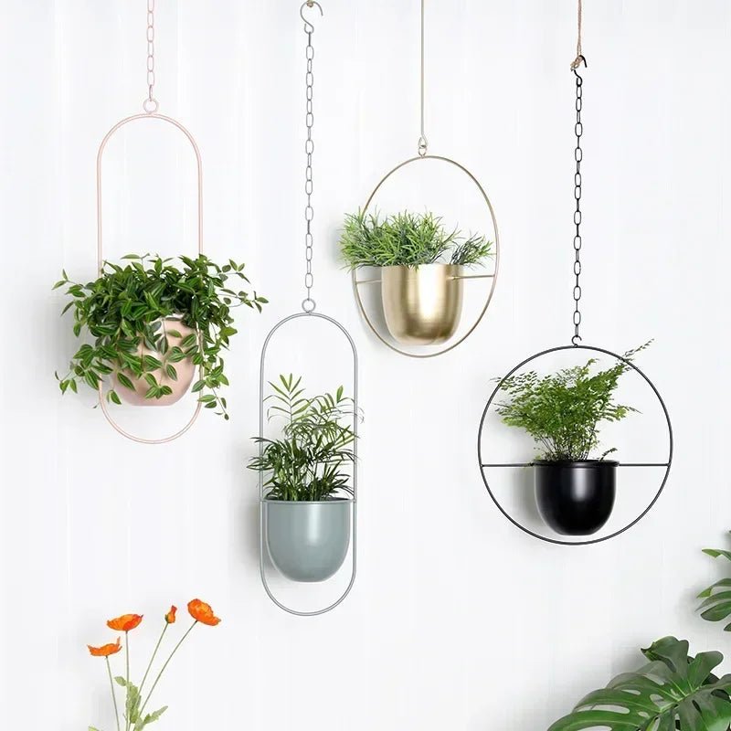HaloPlant Hanger - Wall Plant Hanger - Minimal Style - Space Saving
