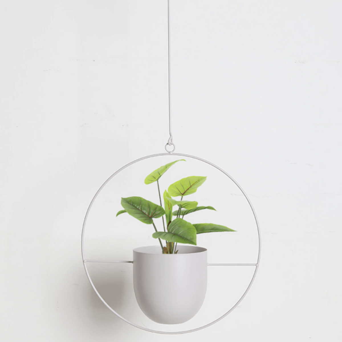 HaloPlant Hanger - Wall Plant Hanger - Minimal Style - Space Saving
