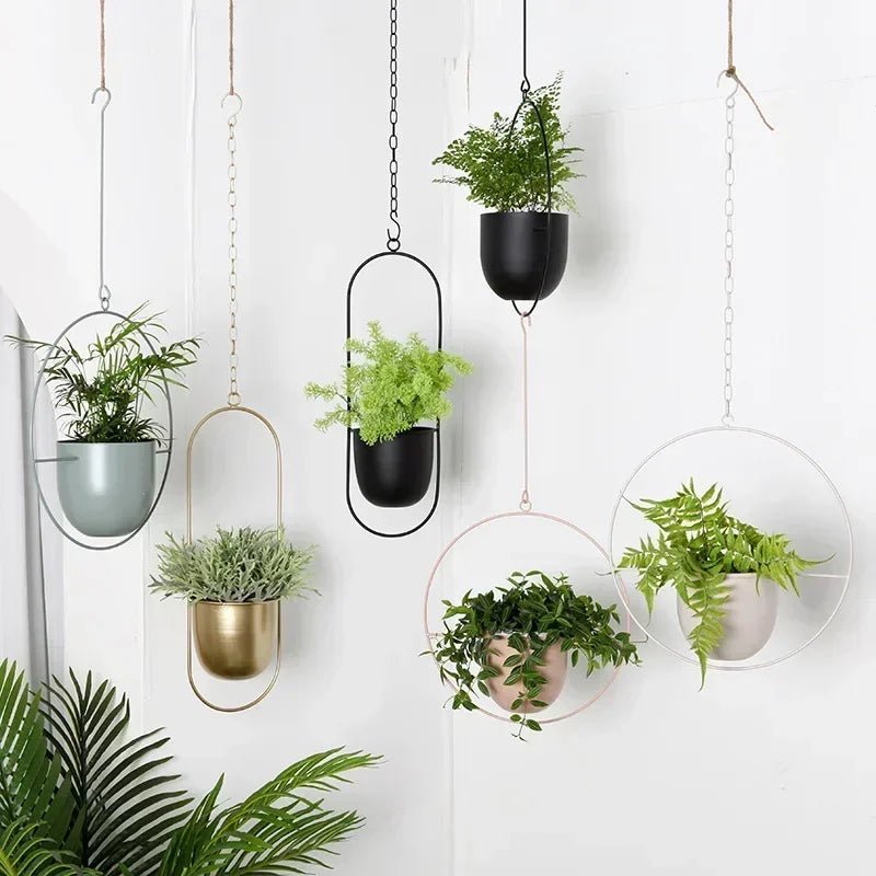 HaloPlant Hanger - Wall Plant Hanger - Minimal Style - Space Saving
