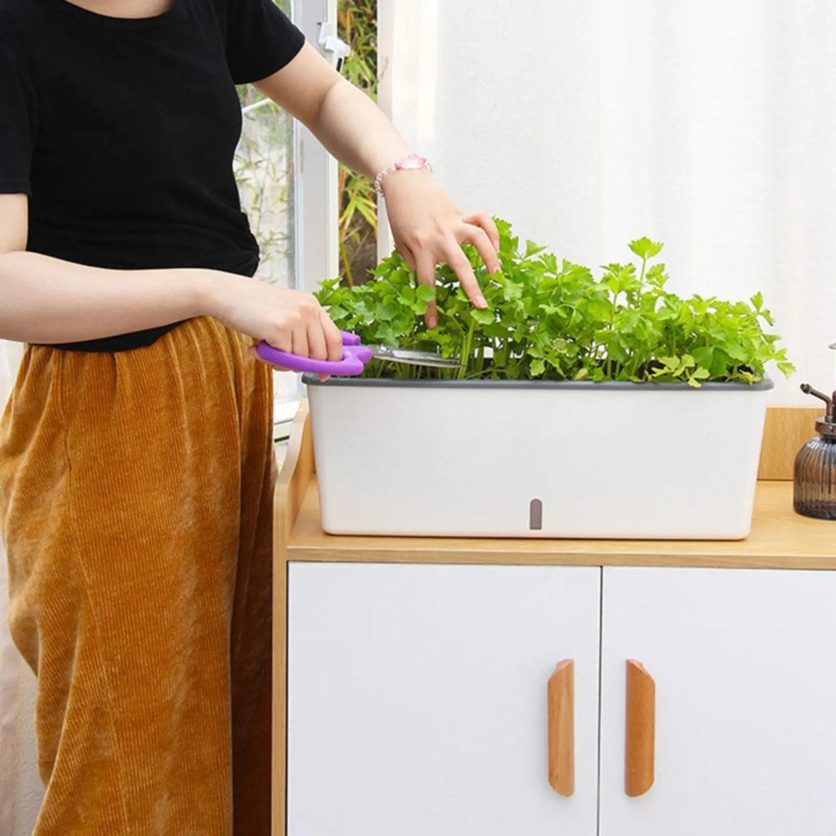 GreenFlow – Self-Watering Planter Box – Smart Indoor Herb Garden