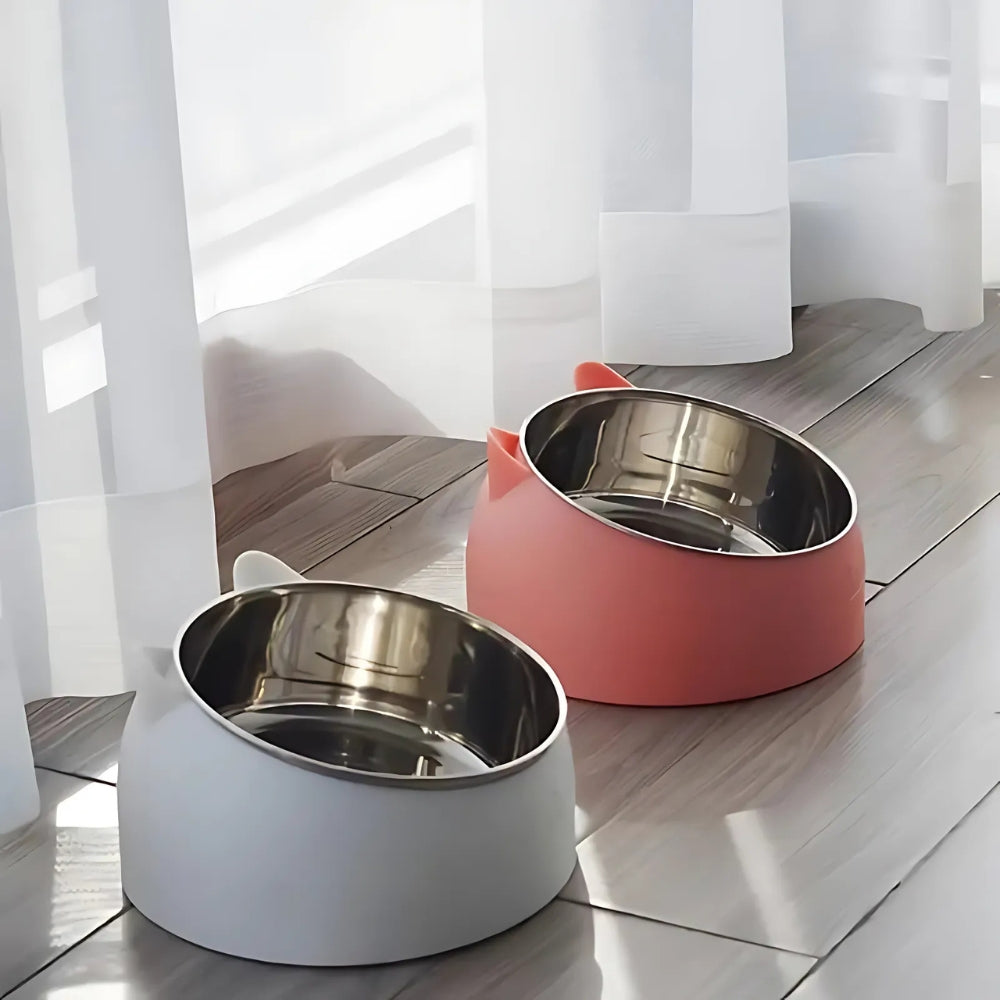 Pinnacle Elevated Pet Bowl - Stainless Steel, Tilted Design for Cats and Dogs 2