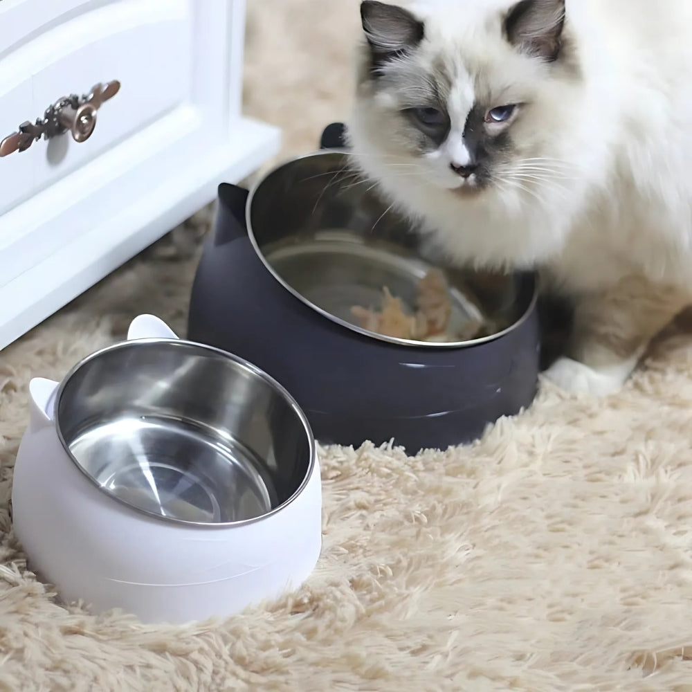Pinnacle Elevated Pet Bowl - Stainless Steel, Tilted Design for Cats and Dogs 5