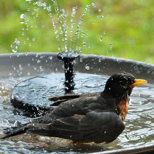 Solaire Garden Fountain - Eco-Friendly Solar Water Feature, Bird Bath Design 4