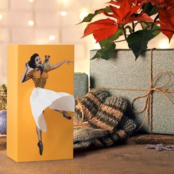 TissuDance Tissue Box Cover - Playful Plastic Design for Home Decor 0