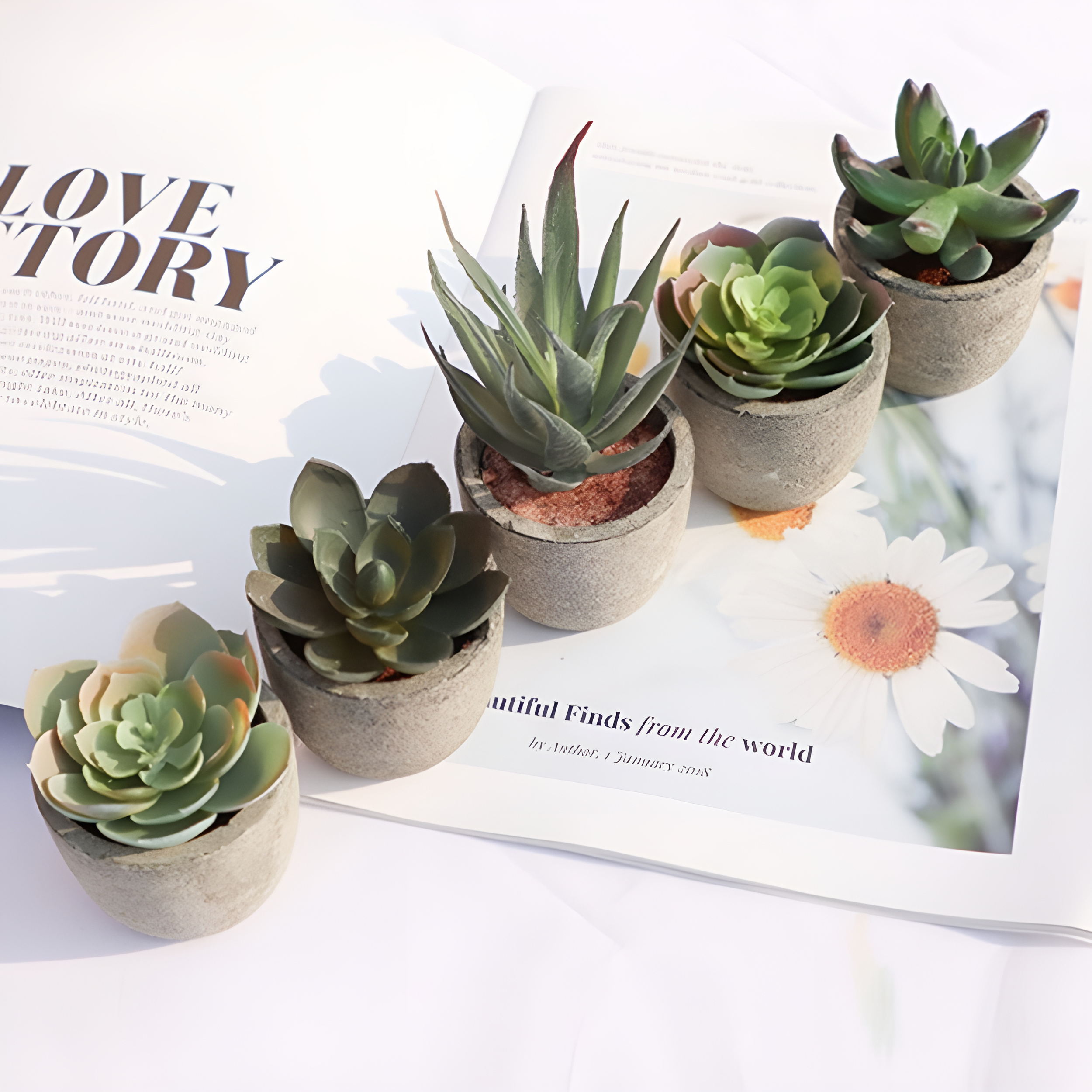 Verdea Artificial Succulent Plant - Realistic Faux Greenery, Rustic Pot 2