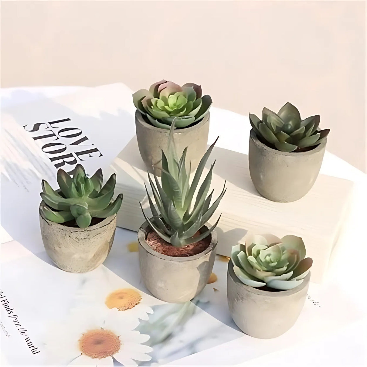 Verdea Artificial Succulent Plant - Realistic Faux Greenery, Rustic Pot 4