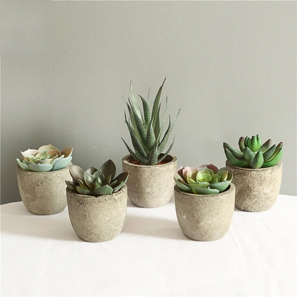 Verdea Artificial Succulent Plant - Realistic Faux Greenery, Rustic Pot 8